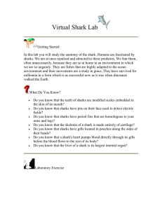 Virtual Shark Lab - Teacher Site Home