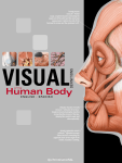 Visua of the Human Body