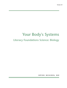 Your Body`s Systems