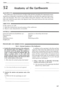 Anatomy of the Earthworm