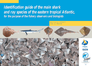Identification guide of the main shark and ray species of the eastern