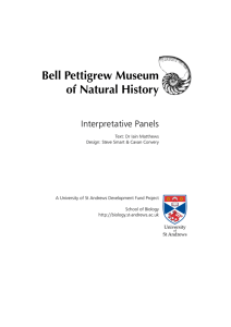 Bell Pettigrew Museum of Natural History - synergy