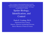 Spider Biology, Identification, and Control Control