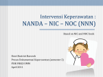 nanda – nic – noc (nnn)