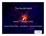 The Numb Hand