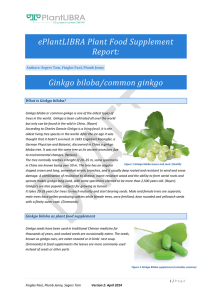 ePlantLIBRA Plant Food Supplement Report: Ginkgo biloba