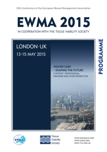 programme - EWMA 2015