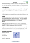 Gum Disease Leaflet - Homewood Dental Practice