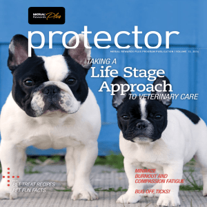 The Protector magazine