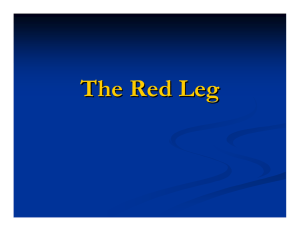 The Red Leg - UCSF Dermatology