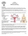 X-Plain Hysteroscopy Reference Summary