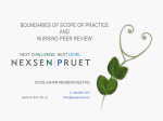 boundaries of scope of practice and nursing peer