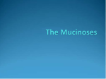 The Mucinoses