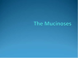 The Mucinoses