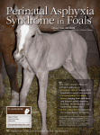 Perinatal Asphyxia Syndrome in Foals