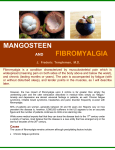 mangosteen fibromyalgia - Healthy Life In A Natural Way