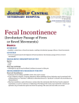 Fecal Incontinence - Joondalup Central Veterinary Hospital