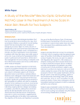 A Study of the RevLite® Electro-Optic Q-Switched Nd