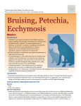 Bruising, Petechia, Ecchymosis