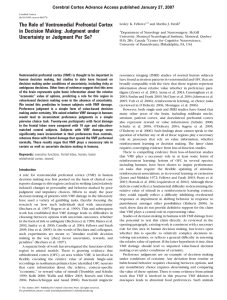 The Role of Ventromedial Prefrontal Cortex in Decision Making