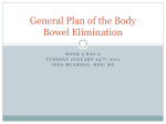 General Plan of the Body Bowel Elimination