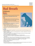 Bad Breath - Milliken Animal Clinic