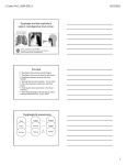 SLP26 2011 Dysphagia and the respiratory system