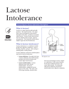 Lactose Intolerance What is lactose? National Digestive Diseases Information Clearinghouse