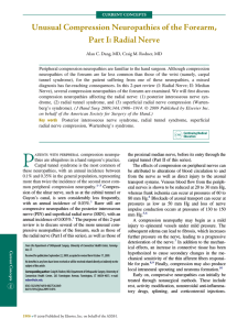 Unusual Compression Neuropathies of the Forearm, Part I: Radial Nerve