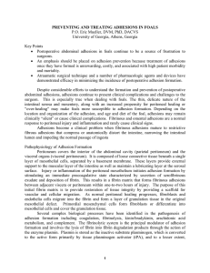 PREVENTING AND TREATING ADHESIONS IN FOALS University of Georgia, Athens, Georgia