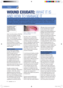 WOUND EXUDATE:  WHAT IT IS AND HOW TO MANAGE IT