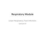 Respiratory Module Lower Respiratory Tract Infections Lecture 6