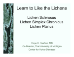 Learn to Like the Lichens - Obstetrics and Gynecology