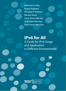 A Guide for IPv6 Usage and Application