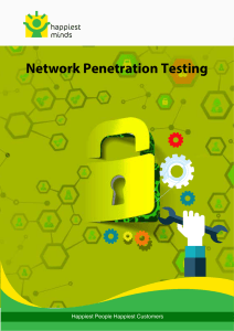 Whitepaper: Network Penetration Testing