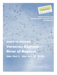 Veracruz Explorer - River of Raptors