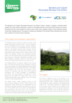 Bandeira and Capelli Renewable Biomass Fuel Switch The project
