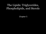 The Lipids: Triglycerides, Phospholipids, and Sterols