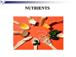 NUTRIENTS