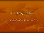 3. Carbohydrates