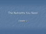The Nutrients You Need