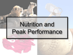 Sports Nutrition