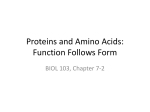 BIOL 103 Lecture Ch 7-2 Proteins for Students