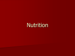 Nutrition PPT - millerwellness10