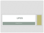 Lipids - 35-206-202