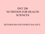 Metabolism and Energy Balance