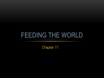 Feeding the World