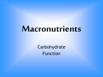 Macronutrients