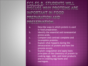 Importance of Proteins PowerPoint