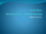 Unit One: Homeostasis and Immunity